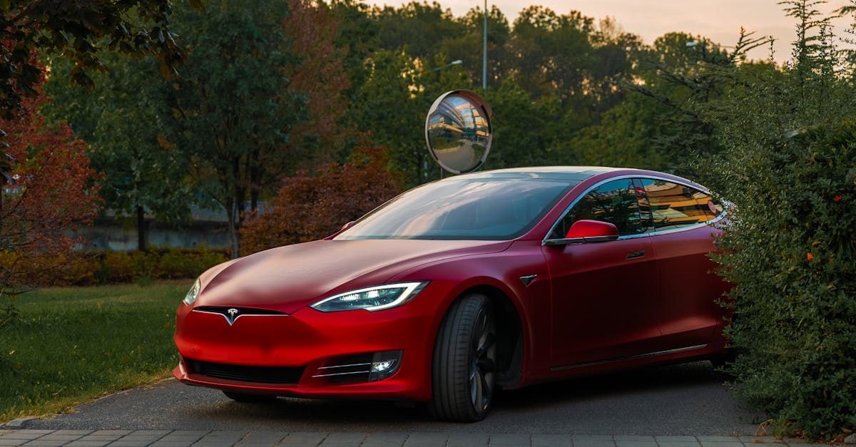 Meet the Team: Leadership Behind the Tesla Owners Club of Austin
